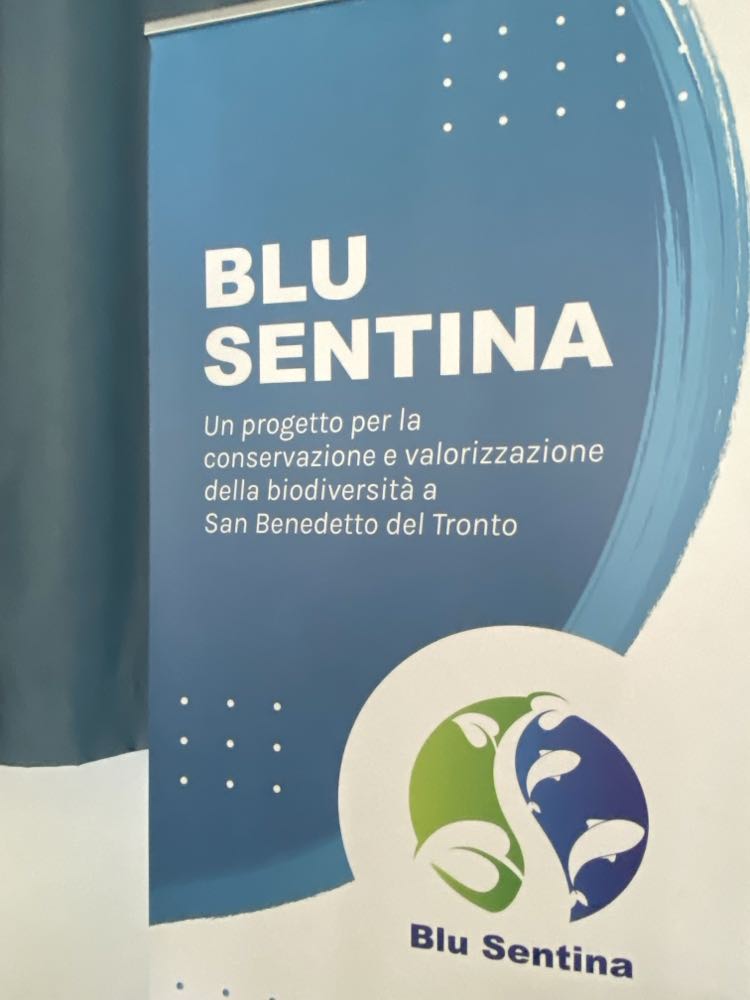 Al via il progetto ‘Blu Sentina’