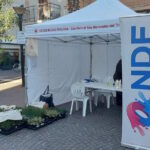 Onde-Glicemiche-1