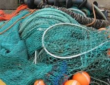 FERMO PESCA 2024: INDENNITÀ GIORNALIERA FINO A 30 EURO