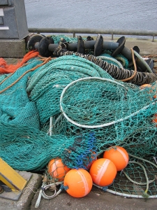 FERMO PESCA 2024: INDENNITÀ GIORNALIERA FINO A 30 EURO
