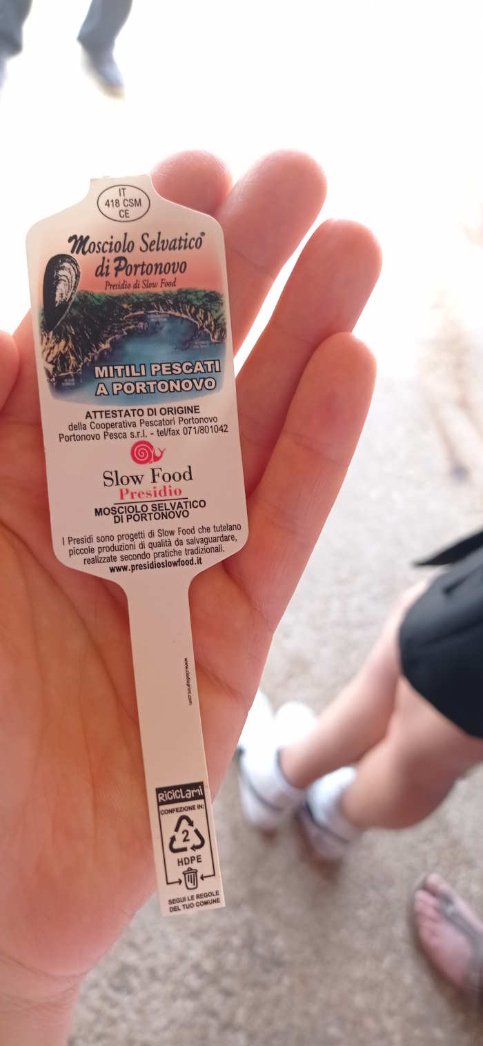 Il simbolo della pesca sostenibile nelle Marche: il mosciolo del Conero