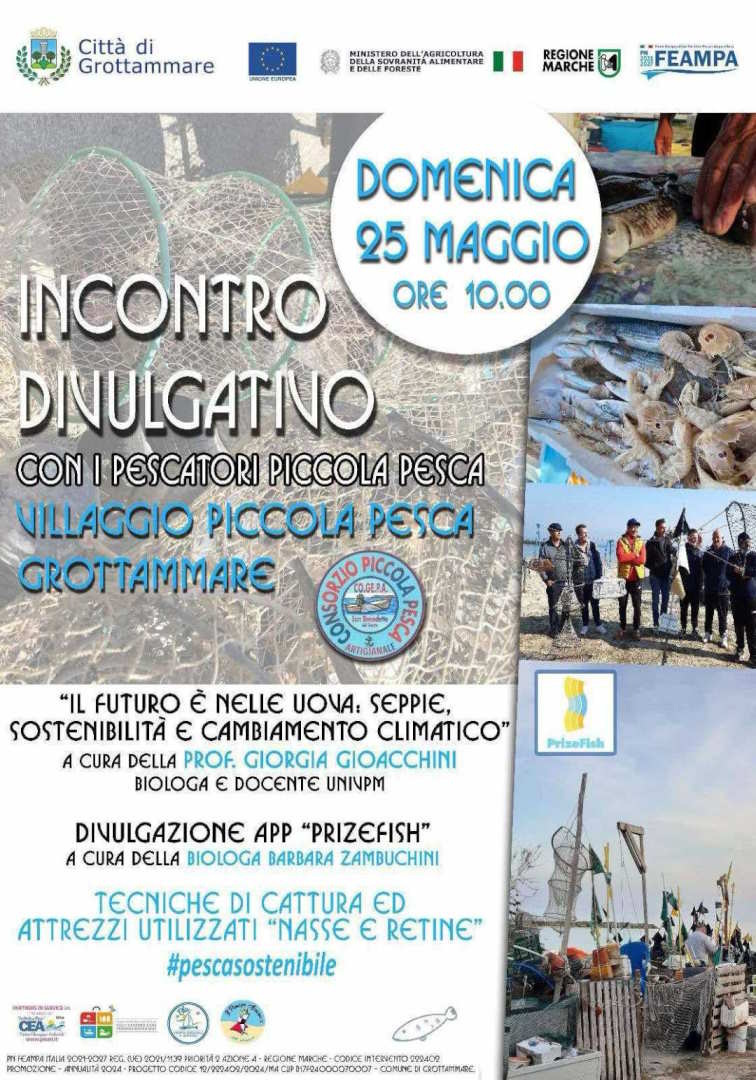 Alla scoperta della Piccola Pesca Artigianale e Visita al Villaggio di Grottammare