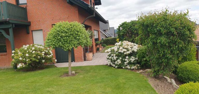 Il giardino si risveglia per la ‘Festa della Mamma’