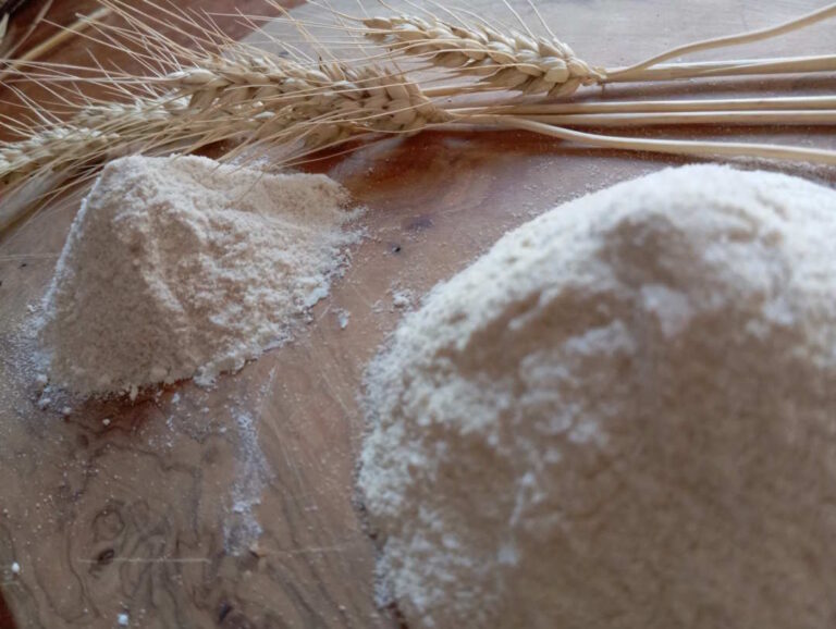 Grani antichi, che passione