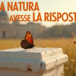 UniCam-PicenAmbiente-plastica