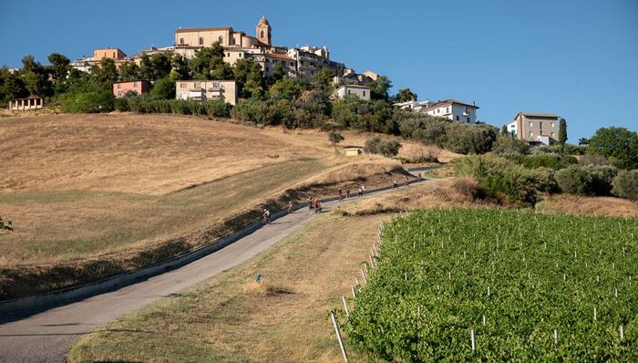 Nuove imprese e studi professionali nel Piceno: al via il bando da 7 milioni di euro con contributo a fondo perduto di 20.000