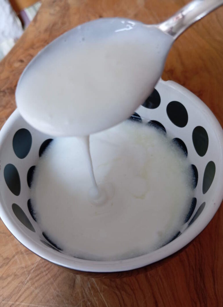 Il prezioso alleato della nostra salute arriva dal Caucaso