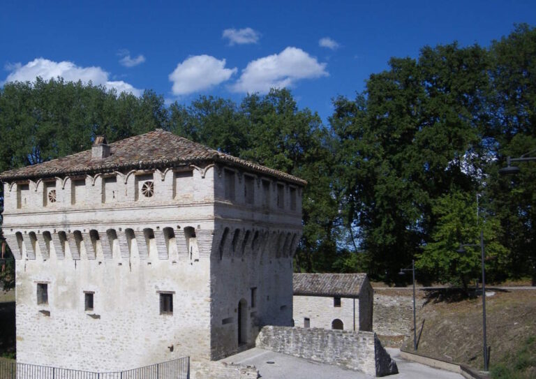 IL FUTURO SI COLTIVA