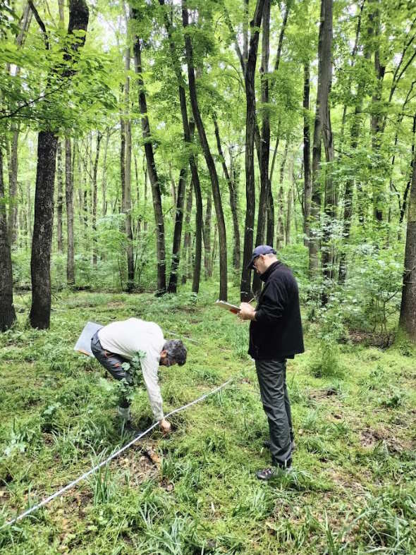 L’Inventario Forestale Nazionale Italiano si rinnova: UniCam coordina il monitoraggio della biodiversità