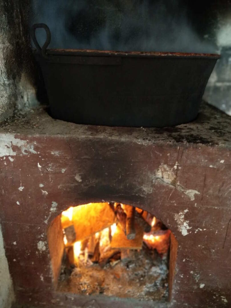 È tempo di vendemmia, è tempo di vino cotto