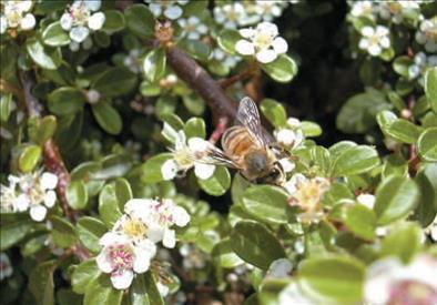dalla Regione Marche