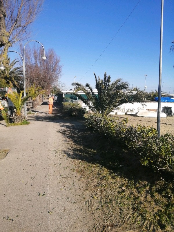 Area ex Camping, Canducci: ‘Soluzione condivisa e No a tappo visuale’