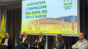 Coldiretti Marche incontra i candidati: l’agricoltura al centro del confronto elettorale