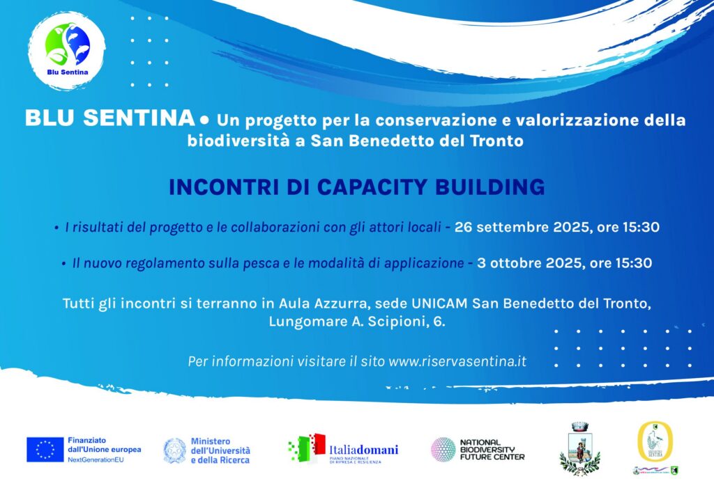 locandina-blu-sentina-1024x724-1