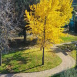 531deb0e-55e0-41a8-8507-4e80f4e73e68