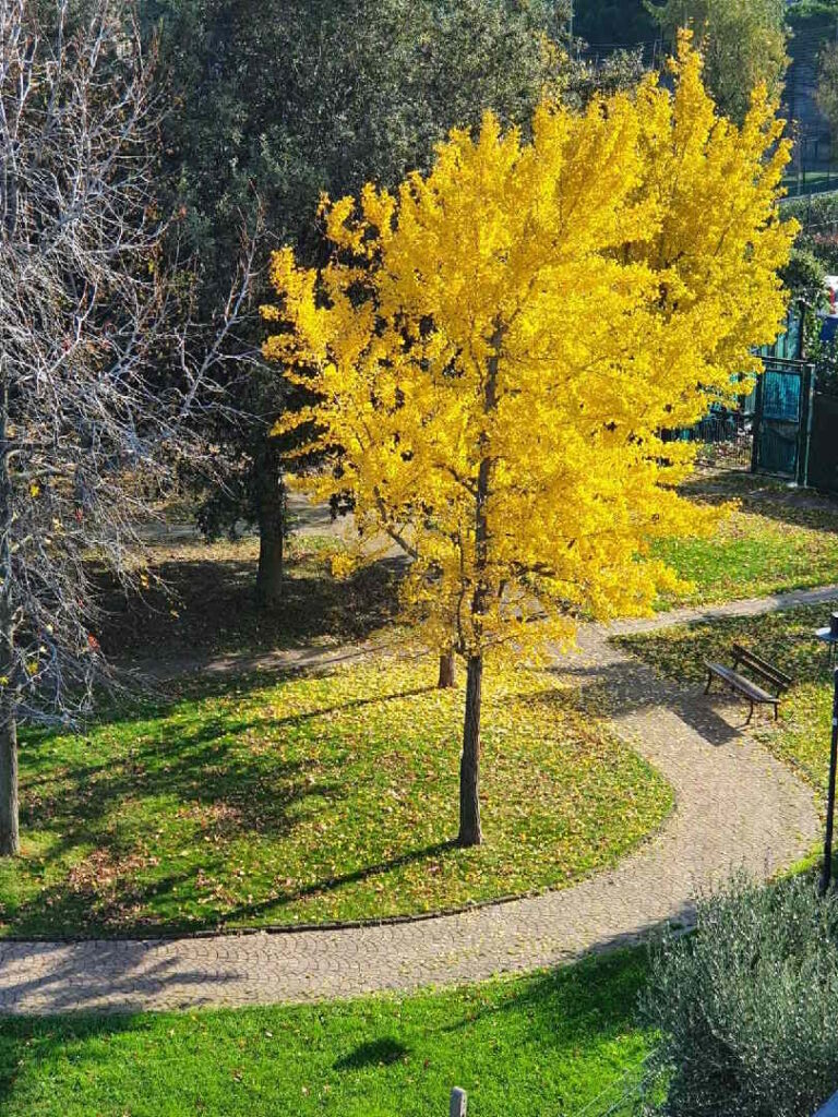 Un Sorso di Verde… è il Parco Eleonora