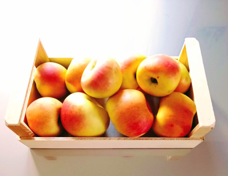 è la Mela Rosa dei Monti Sibillini