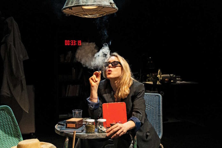 L’invenzione occasionale di Elena Ferrante