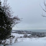 neve-image00002-1-2