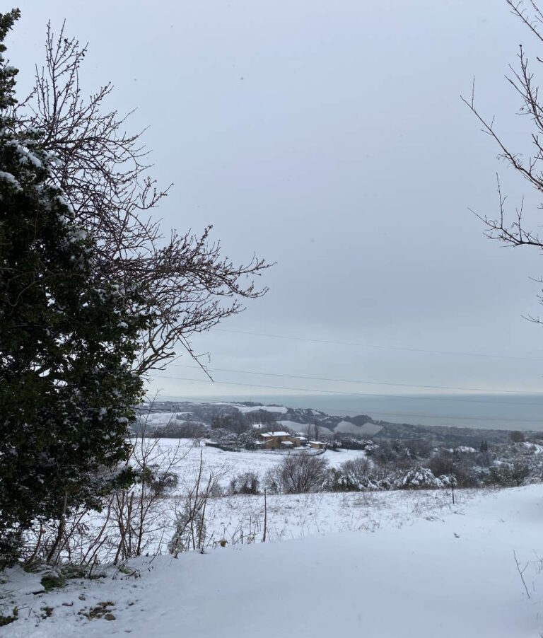 CheFreddoCheFa… Allerta meteo
