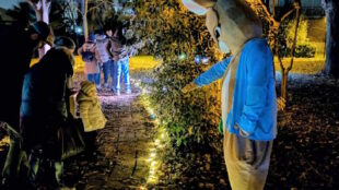 Bosco Incantato @ Lussureggiante Parco Eleonora: Tanta Luce al Buio di Porto d’Ascoli