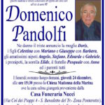 Domenico-Pandolfi