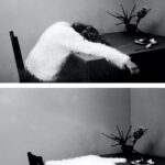 GHOSTS-di-Fanny-Alexander-1