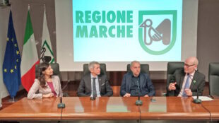 UniMc: Master gratuito per gli operatori degli Ambiti Sociali Territoriali