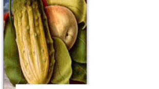 Pittura Rinascimentale: Carlo Crivelli al Museo del Mare