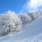 neve