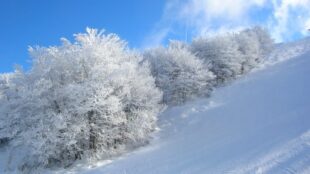 Monte Piselli, al via una nuova epoca