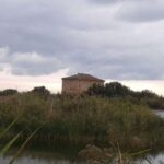 riserva-naturale-sentina-1024x576-1