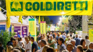 Coldiretti Marche verso Bruxelles: il 18 dicembre la piazza per l’Europa dei contadini