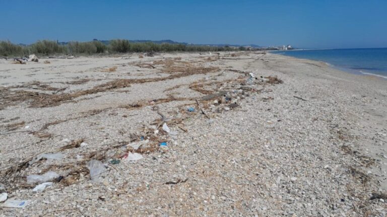 Un’escursione guidata alla Sentina