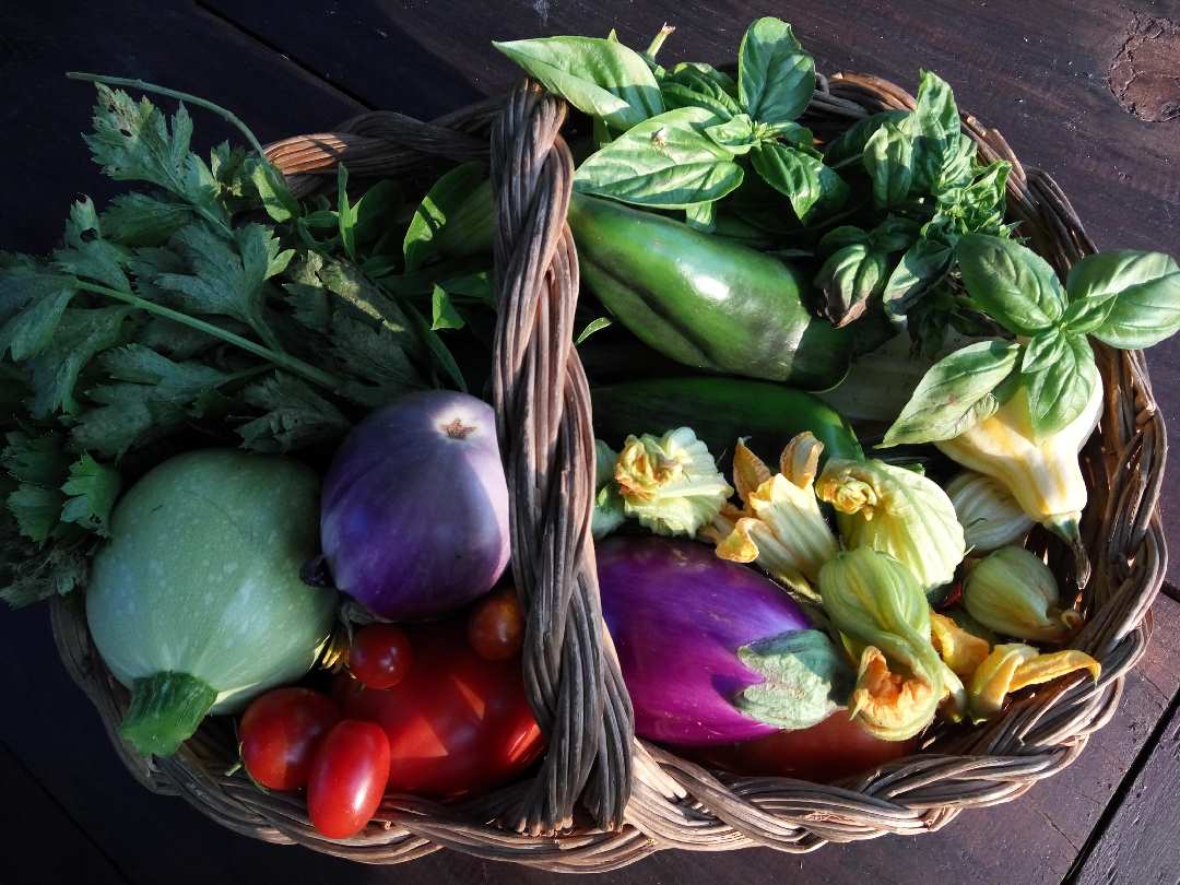 Dieta-Mediterranea-Verdure-IMG_20160925_175629