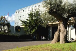 Approvato il PIAO, strumento fondamentale per l’attività del Comune