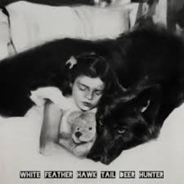 Video della settimana