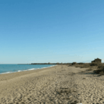riserva-naturale-sentina-1024x576-1
