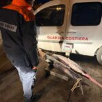 pesce-spada-PHOTO-2026-03-26-08-14-53