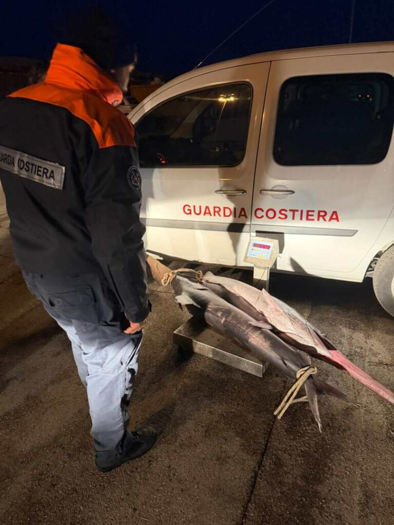 PESCA ILLEGALE DI PESCE SPADA: SCATTA IL SEQUESTRO DA PARTE DELLA GUARDIA COSTIERA