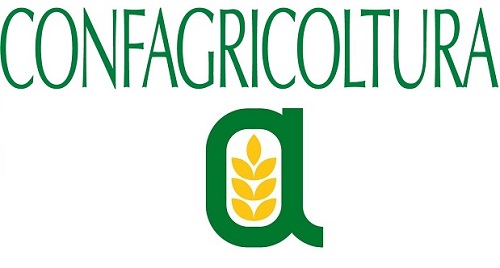 Allagamenti e terreni al collasso in Abruzzo, Confagricoltura: ‘Stato di calamità subito per evitare un nuovo 2023’