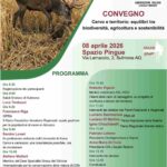 Cervi fuori controllo in Abruzzo, tra ‘Bambi’ e realtà