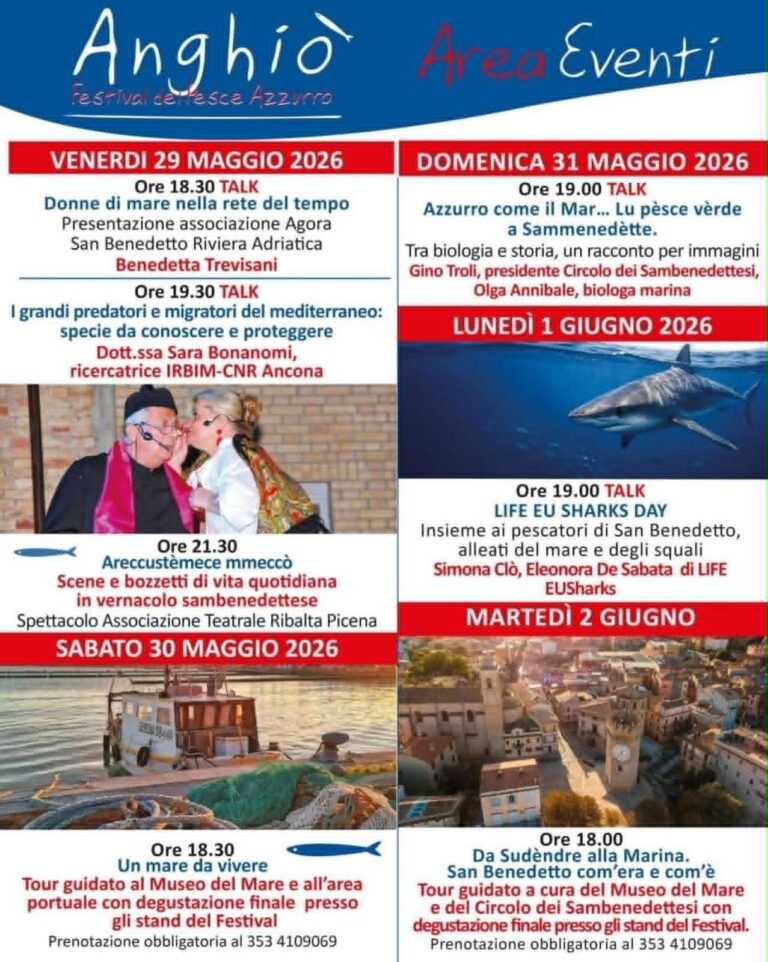 Anghio-890dee96-8f2a-496e-8e2c-625315567ee3