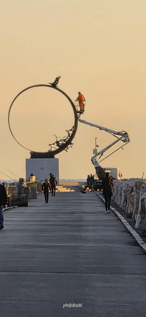 Gabbiano-Jonathan-Livingston-b9509953-41eb-4196-9ce8-cb08c453b3a3