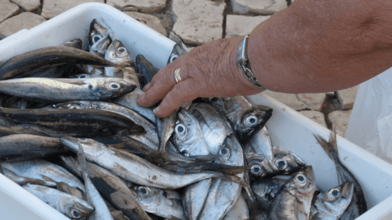 pescatore-pesce-cassette-mercato-ittico-1024x576-1