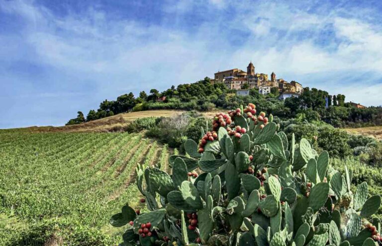 Monteprandone-Panorama-Borgo-Storico-foto-Moreno-Capomagi