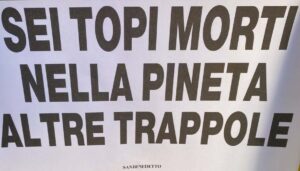 Topi-Gatti-Appunti_09-24-2026_01