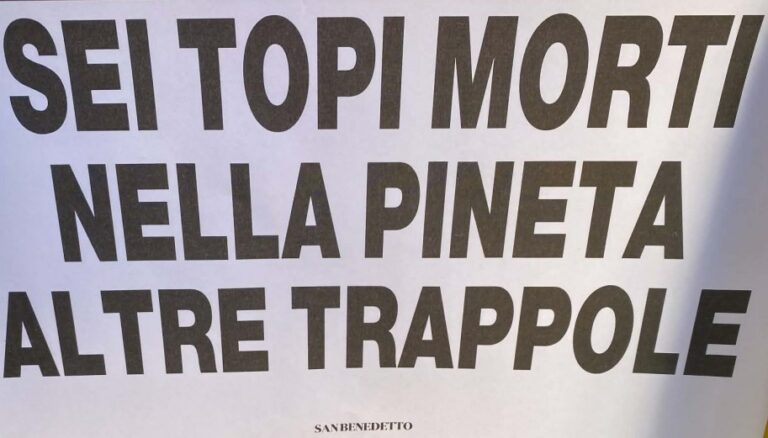 Topi-Gatti-Appunti_09-24-2026_01